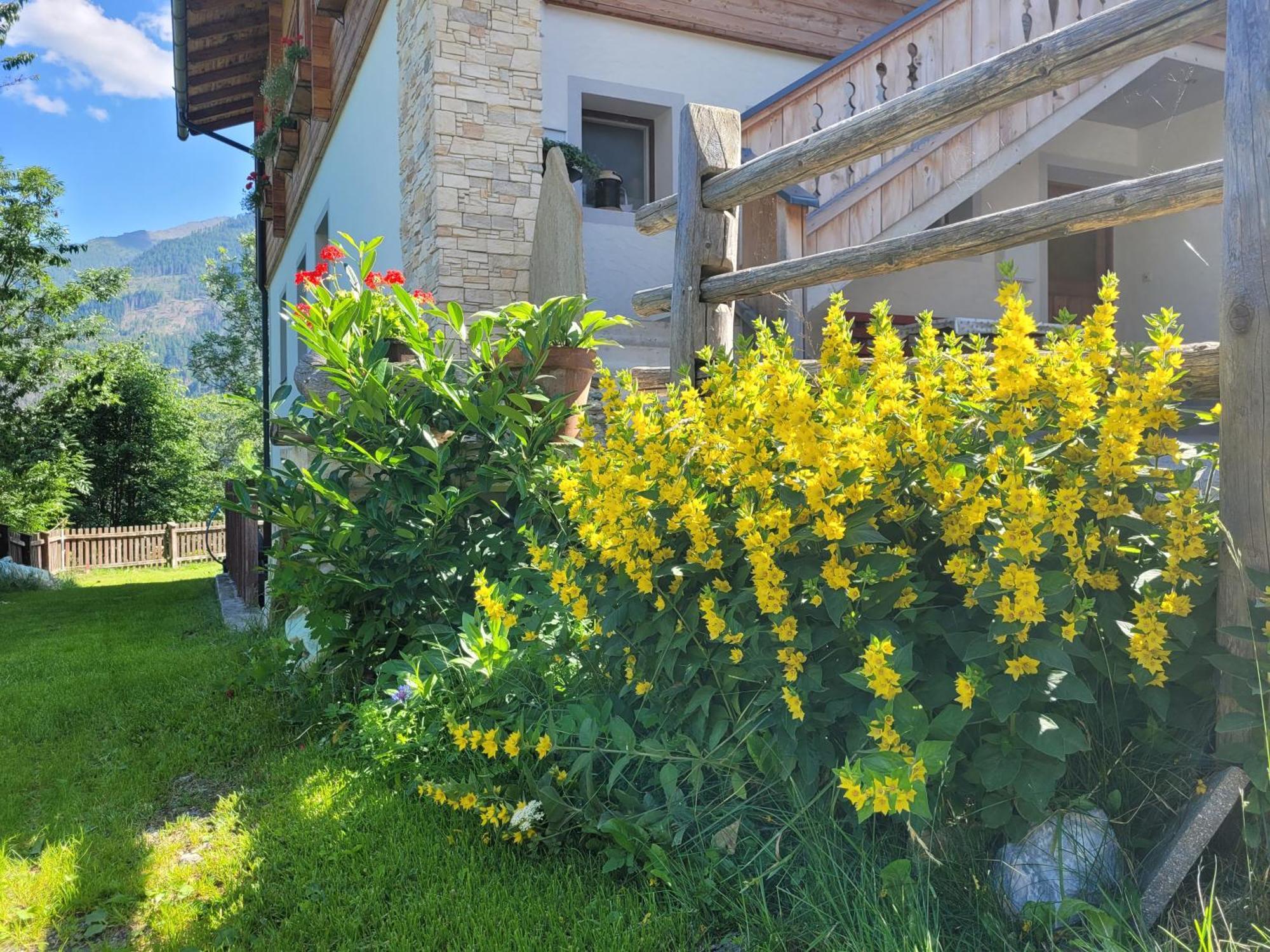 Apartmán Gaestehaus Bergwald - Poetscherjahringerhof